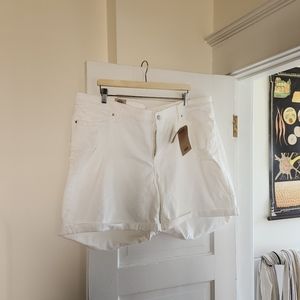 Levi's 24W Shorts